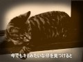 月夜