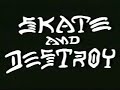 thrasher skate and destroy remake