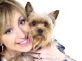 Easy D.I.Y. Dog Training Guide! *NEW*