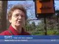 Reportage sur le pigeonnier du 11e arrondissement de Paris