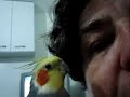 TICO BEIJOQUEIRO