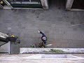 Venezia. Frasi celebri di un venditore ambulante