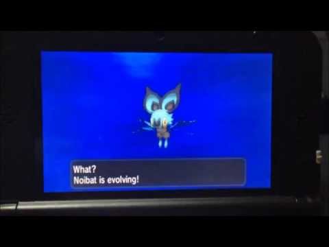 how to evolve noibat in pokemon y