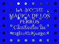 noche mágica para los perros