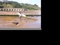 Gaztetapeko surf txapelketa herrikoia
