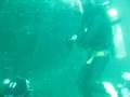 Scuba Diving in the Patagonia