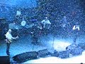 fairytale of new york: brixton 19/12/07