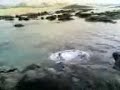 ventura agudela 4 graus....