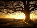 Blame - Sphere (Seba Remix) Blame - Sphere (Seba Remix)