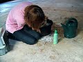 Washing The Chicken-Video 1 Washing The Chicken-Video 1