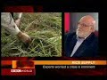 On BBC World: IRRI director general discusses price of rice On BBC World: IRRI director general discusses price of rice