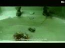 Medley Videos Arjona