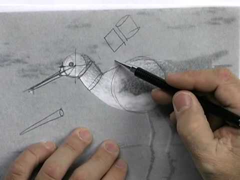 how to draw shapes