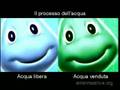 Controspot Acqua