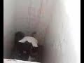 Un baiat cu dureri de stomac