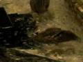 videos de Peabody duck bath