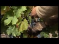 Mendoza Paisaje del Vino Parte 2.mpg