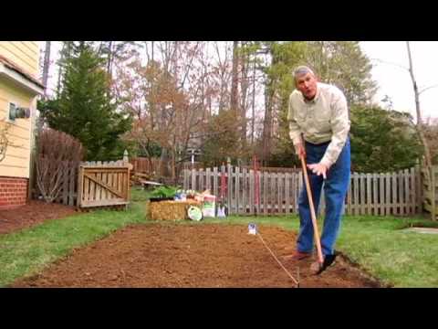 how to start your own vegetable patch