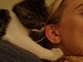 I love my human