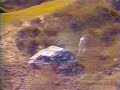 wrc crash accidente