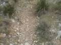 Recorreguts pel Garraf
