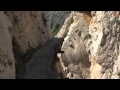 Dangerous Pathway Jokeroo