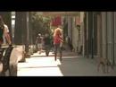 BROOKE WHITE MUSIC VIDEO FREE