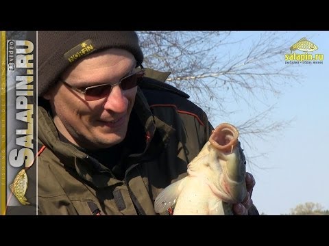 секреты весенней ловли карпа секреты весенней ловли карпа