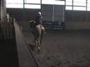 horseback riding with stymie horseback riding with stymie