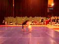 Lochaber Gymnastics Clubs Gymfest