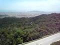 The-View-from-the-Ho