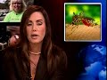 World Health News Today: Malaria in Airports World Health News Today: Malaria in Airports