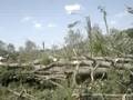 Tornado Damage Rt 16 Ossipee NH