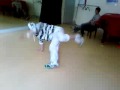 Battle Jordan/Gwénaël