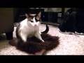 Egon Loves Wolf Mask UNEDITED CLIP 4