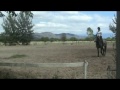 potrillos rancho don fernando 2