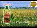 Authentic and Natural Green Tea