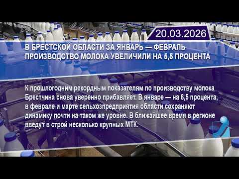 Новостная лента Телеканала Интекс 20.03.26.