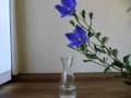 �ڴ�ñ������۽��μ��𡦵˹��ϣ���β�:YouTube������=49��