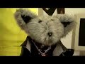 dotboom-22-beethovens-fifth.html
