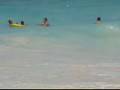 videos de boogie board hits woman