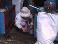 oil screw press