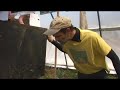 How to Build Hoop Houses : In-House Compost Making How to Build Hoop Houses : In-House Compost Making