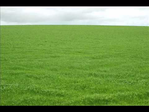 Emotional Grid - From the Philly seminar in May 2012. I love this clip because Abraham emphasizes how to focus emotionally on what is wanted, while keeping unwanted out of on...