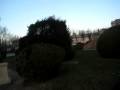 videos de 004