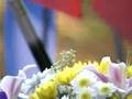 День единения отметили в Севастополе