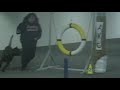 bailey-snookers-nov-2007.html