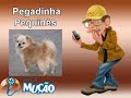 Mucao.com.br - Pegadinha - Pequin�s