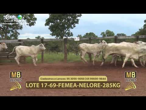 541� LEIL�O VIRTUAL MB LEIL�ES