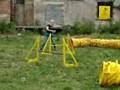 Trening Agility - Haiga CC - płotki + 2 tunele